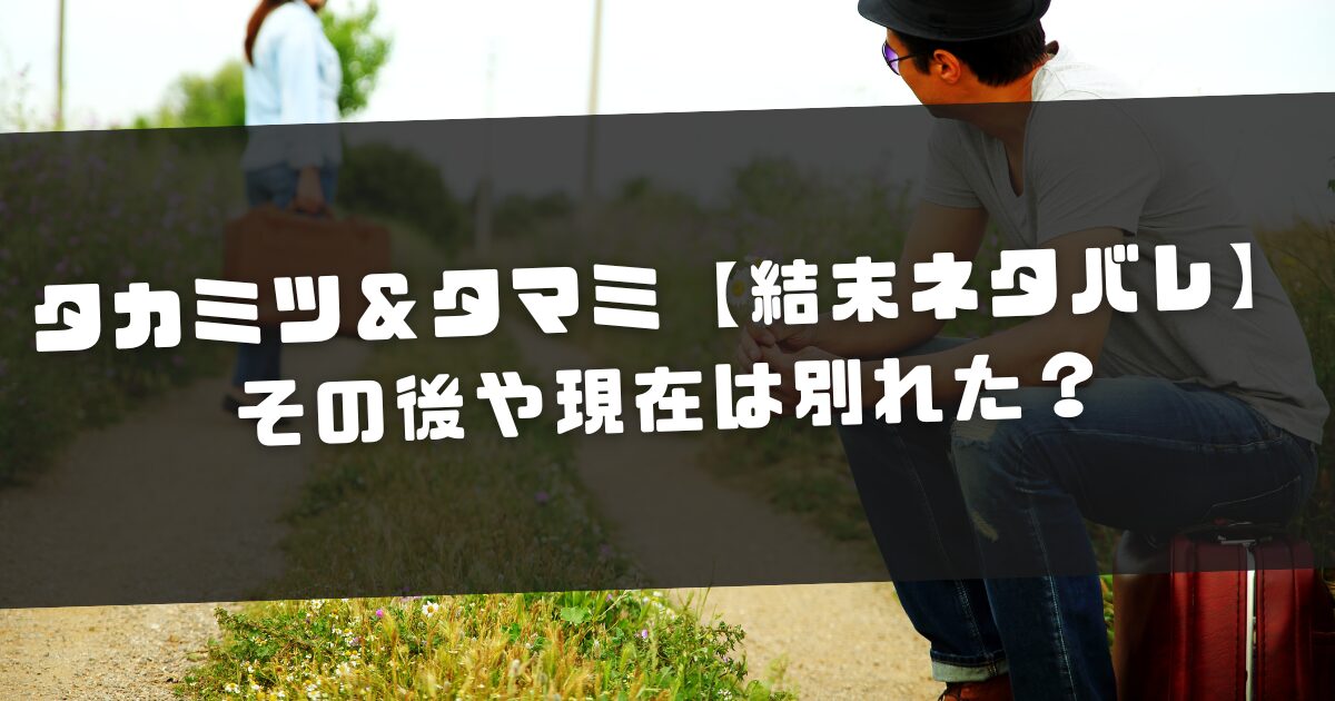 さよならプロポーズ タカミツ＆タマミ【結末ネタバレ】その後や現在は別れた？